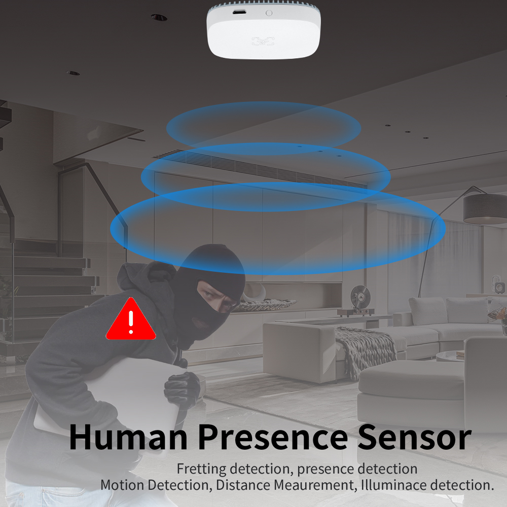 24G Mmwave Radar Human Presenc - Home Assistant Tuya review and price