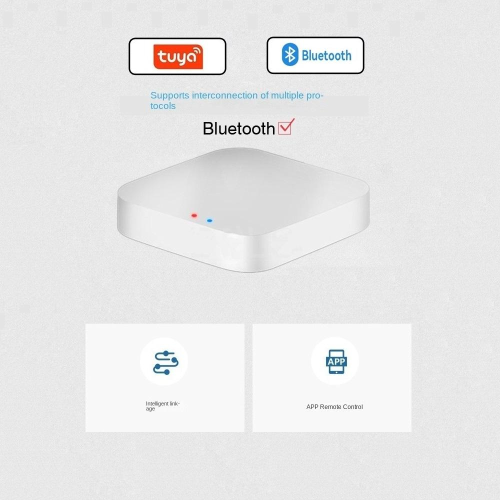 Tuya / Smart Life Gateway Hub  - Home Assistant Tuya review and price
