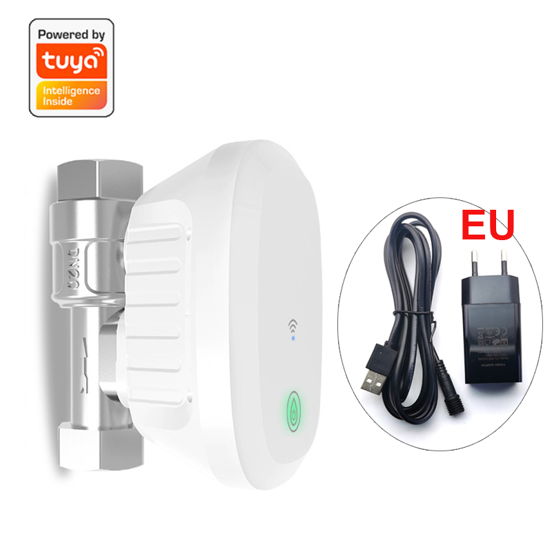 Smart WiFi Valve Meter Water F - Home Assistant Tuya review and price