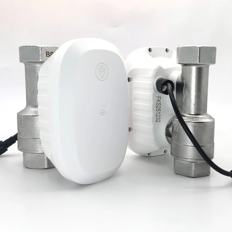Water Valve WiFi Smart Control - Home Assistant Tuya review and price