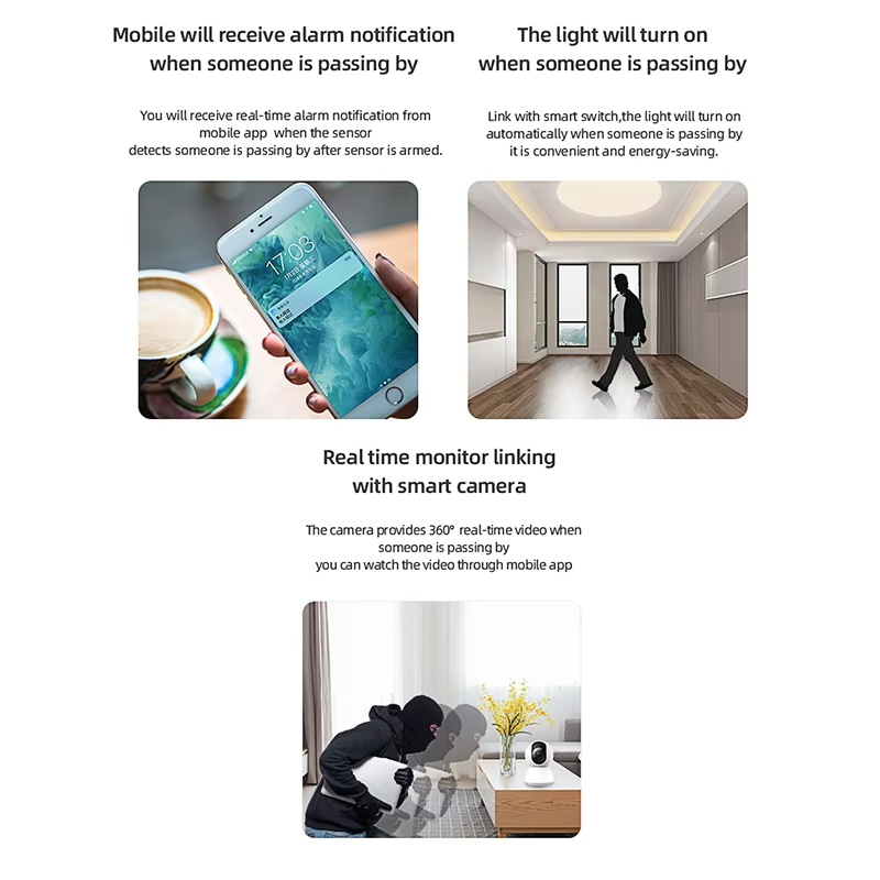 Smart PIR Motion Sensor WiFi Z - Home Assistant Tuya review and price