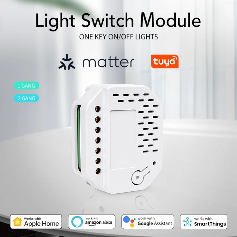 Matter Light Switch Module 2Ga - Smart Relay Tuya review and price