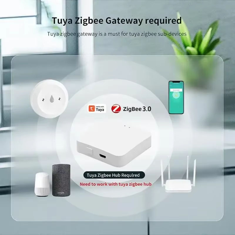 For Tuya ZigBee 3.0 Smart Wate - Home Assistant Tuya review and price