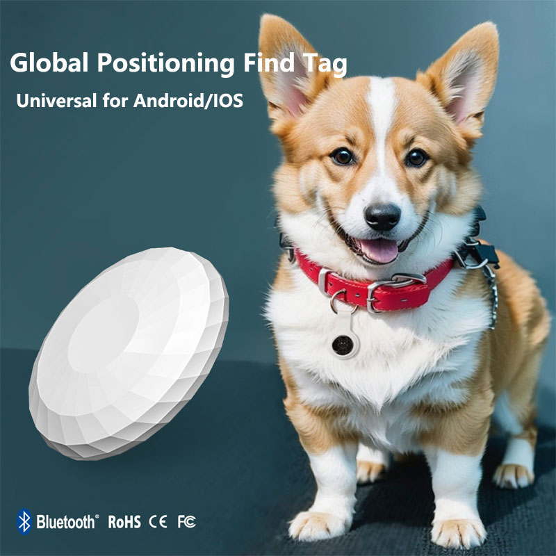 Smart Tag Really Global Positi - Home Assistant Tuya review and price
